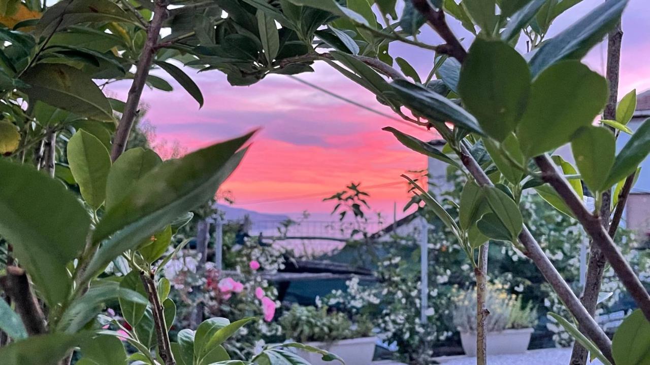 The Dream Villa Massa Lubrense Dış mekan fotoğraf